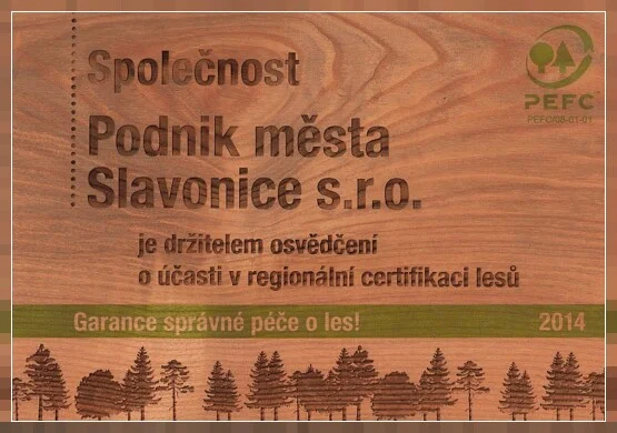 Podnik města Slavonice s.r.o. - Správa lesů